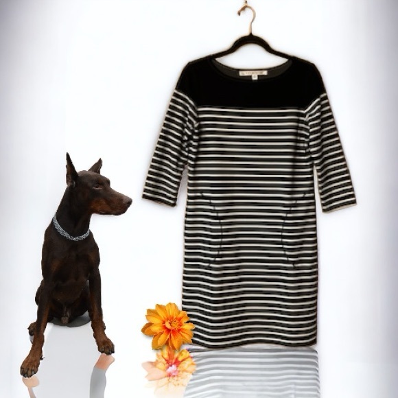 Max Studio Black & White Striped 3/4 Sleeve Shift Dress - Picture 3 of 15